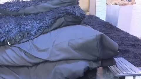 Snapshot of ximenawilliamss chatting on 02.22.25 ximena online show from 02.22.25