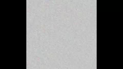 JSSD online show from 02.28.25