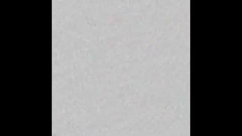 JSSD online show from 02.13.26