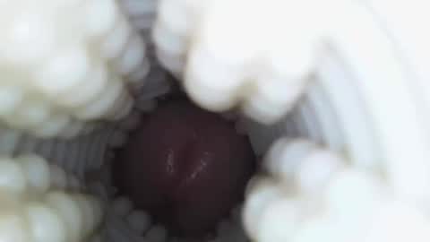 xoxowtf online show from 01.09.26