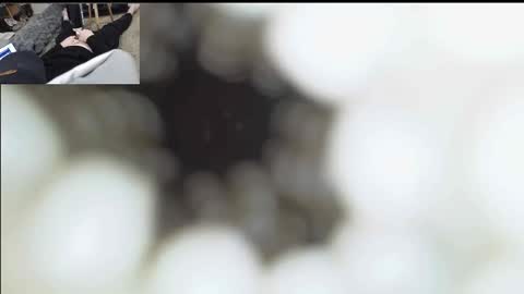 xoxowtf online show from 01.11.26