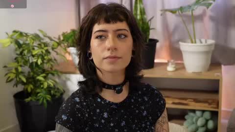 Blue online show from 04.14.26