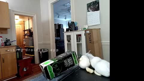 Johnny online show from 02.10.25