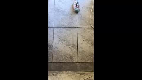 xviktorbr online show from 03.26.26