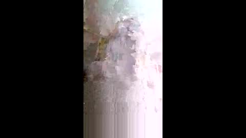 xxjessiebugxx online show from 05.14.26