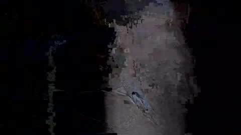 Vera online show from 01.14.26