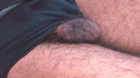 Prince online show from 01.08.26