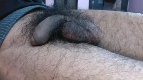 Prince online show from 01.10.26