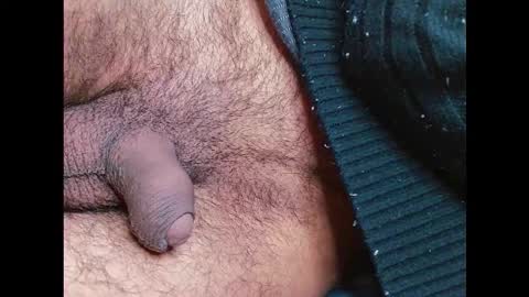 Prince online show from 01.12.26