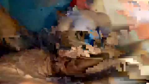 Snapshot of xxxdarknagician81 chatting on 09.21.25 xxxdarknagician81 online show from 09.21.25