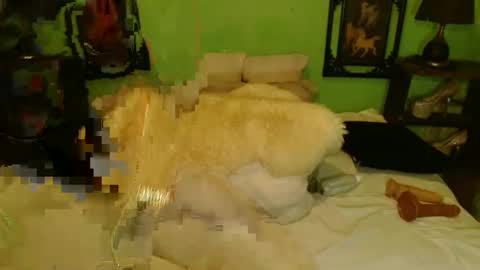 PAMPAM online show from 01.13.25