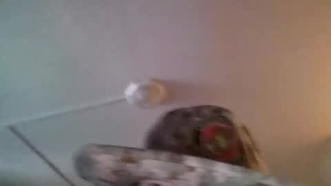 yahushuaha online show from 09.09.25