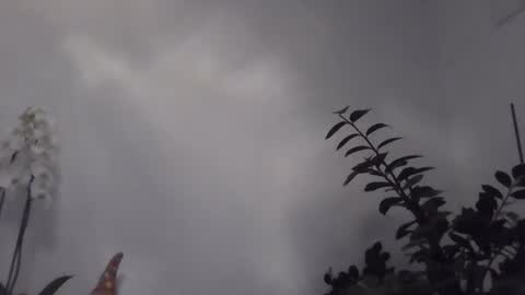 yakijoe online show from 03.01.26