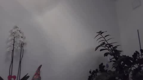 yakijoe online show from 03.22.26