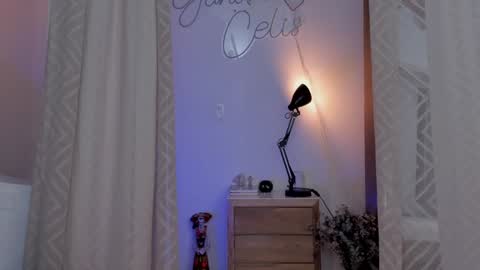 Snapshot of yandracelisoficial chatting on 12.24.24 YANDRA CELIS online show from 12.24.24