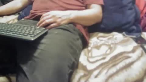 yangolox3 online show from 02.04.26