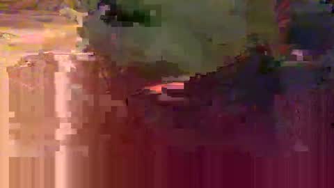 yangolox3 online show from 02.15.26