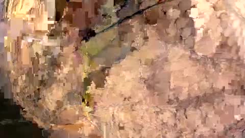 yasminfol online show from 03.01.25