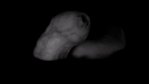 Snapshot of yeasayer004 chatting on 10.08.25 yeasayer online show from 10.08.25