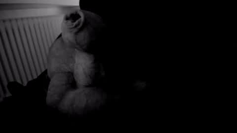 Snapshot of yeasayer004 chatting on 10.13.25 yeasayer online show from 10.13.25