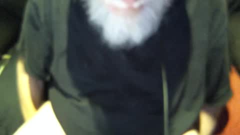 .     y e l l o w s n a k e s       . online show from 09.30.25