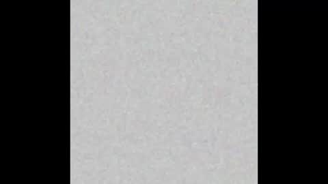 .     y e l l o w s n a k e s       . online show from 11.21.25