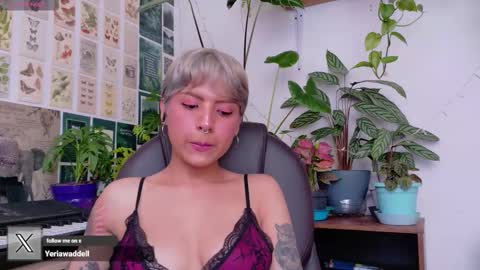 yeriawaddell  online show from 02.19.26