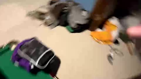 Snapshot of yesspleasexxp chatting on 11.17.25 Yesspleasexxp online show from 11.17.25