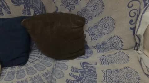 AlexBlack online show from 01.11.26