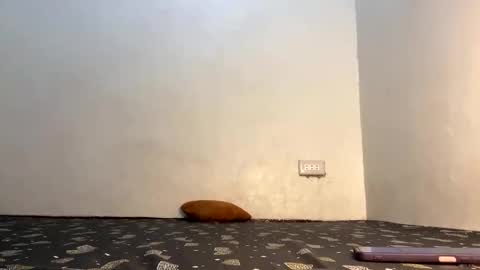 fin online show from 04.21.26