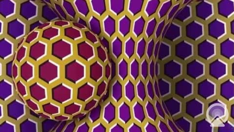 Sophiestar online show from 02.28.25