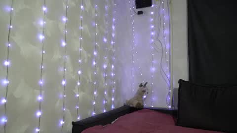 Meri  online show from 02.20.26