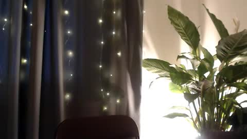 YourDalia online show from 11.13.25