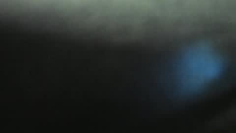 Evelline online show from 01.11.25