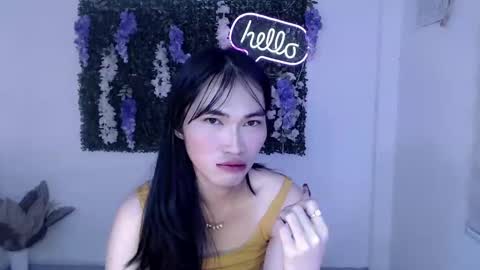    online show from 02.24.25