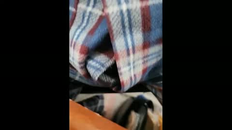 Snapshot of yuppers1234 chatting on 02.05.25 yuppers1234 online show from 02.05.25