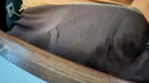 Snapshot of yuppers1234 chatting on 12.19.25 yuppers1234 online show from 12.19.25