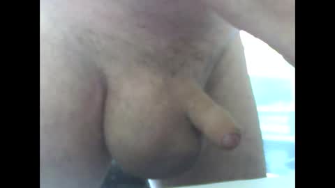 yyyyy_2023 online show from 03.08.25