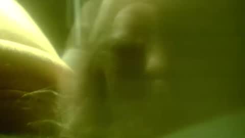 Snapshot of zaboski4 chatting on 02.25.26 zaboski4 online show from 02.25.26