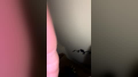 zachmurphbigboy online show from 03.01.26