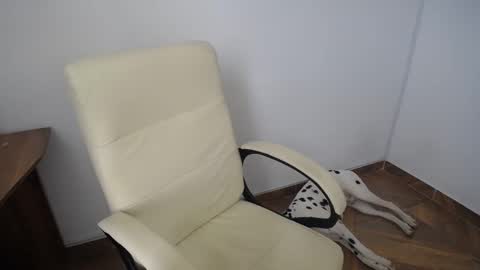 KAAL online show from 12.12.24