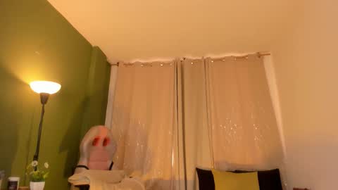 Zara . online show from 02.06.26