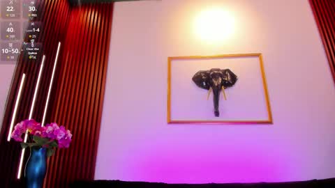  Zayda  online show from 02.26.26