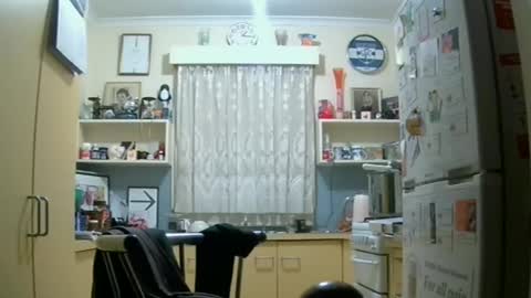 Snapshot of zempo2 chatting on 06.15.26 zempo2 online show from 06.15.26