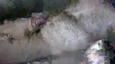 zepincam online show from 10.13.25