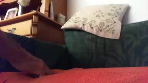 Snapshot of zevioo77 chatting on 09.14.25 zevioo77 online show from 09.14.25