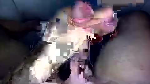 zezin1 online show from 09.19.25