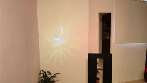 Zhara online show from 11.13.25