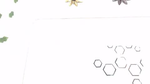 Carolina online show from 01.12.26