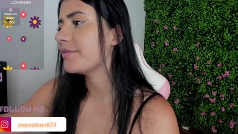 Snapshot of zoe_wattson chatting on 12.21.24 Zoe online show from 12.21.24